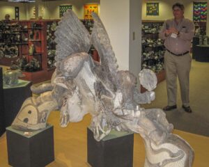 2011 Hamilton IAS Meeting