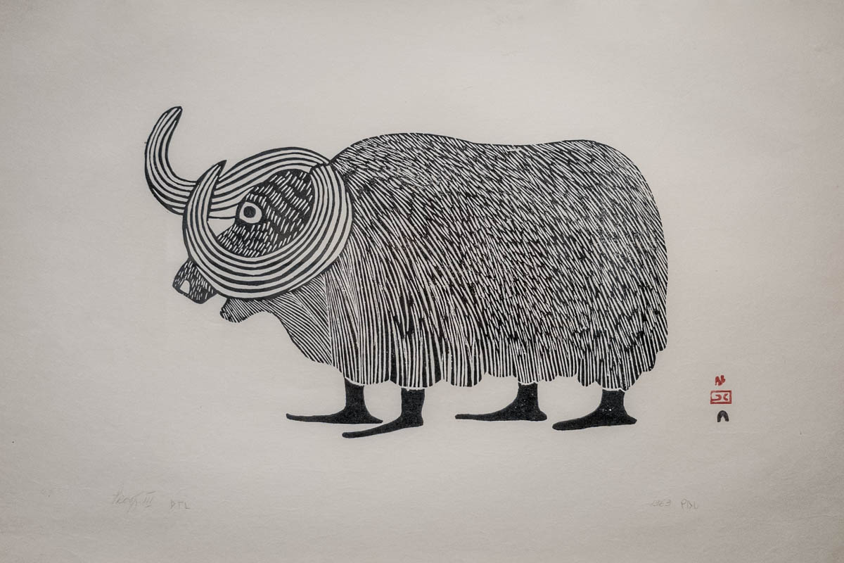 Kiugak Ashoona, MUSK OX, 1963, stonecut on paper. Printmaker: