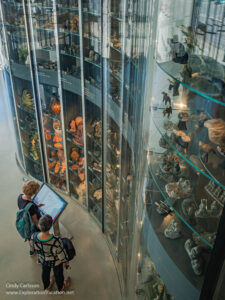 Looking down at a glass wall storage area with two women using a computer panel to ID objects.