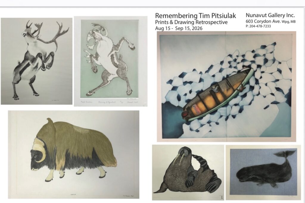 A selection of Tim Pitsiulak prints and drawings.